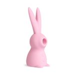 MAGIC-RABBIT-ROSA-2