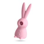 MAGIC-RABBIT-ROSA-5