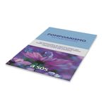 PC066-Kit-20-Pompoar-para-Exercicios-de-Pompoarismo-Feminist-benwa-manual-1000px-1-